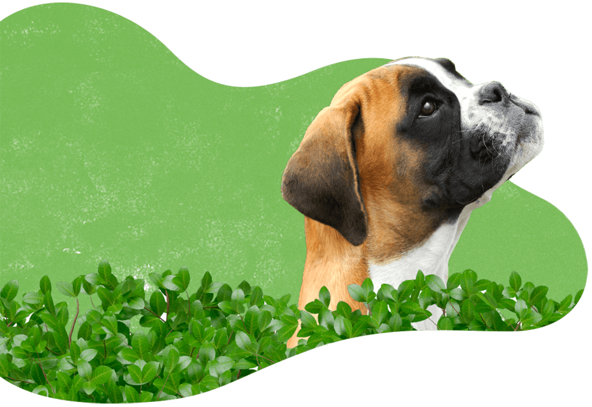 https://cscinofilo.it/wp-content/uploads/2019/07/hero_image_04.png