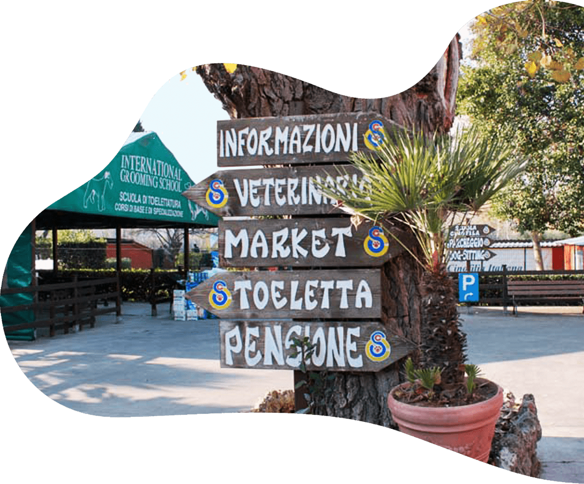 https://cscinofilo.it/wp-content/uploads/2021/01/servizi-centro-sanitario-cinofilo-indicazioni-interne-min.png