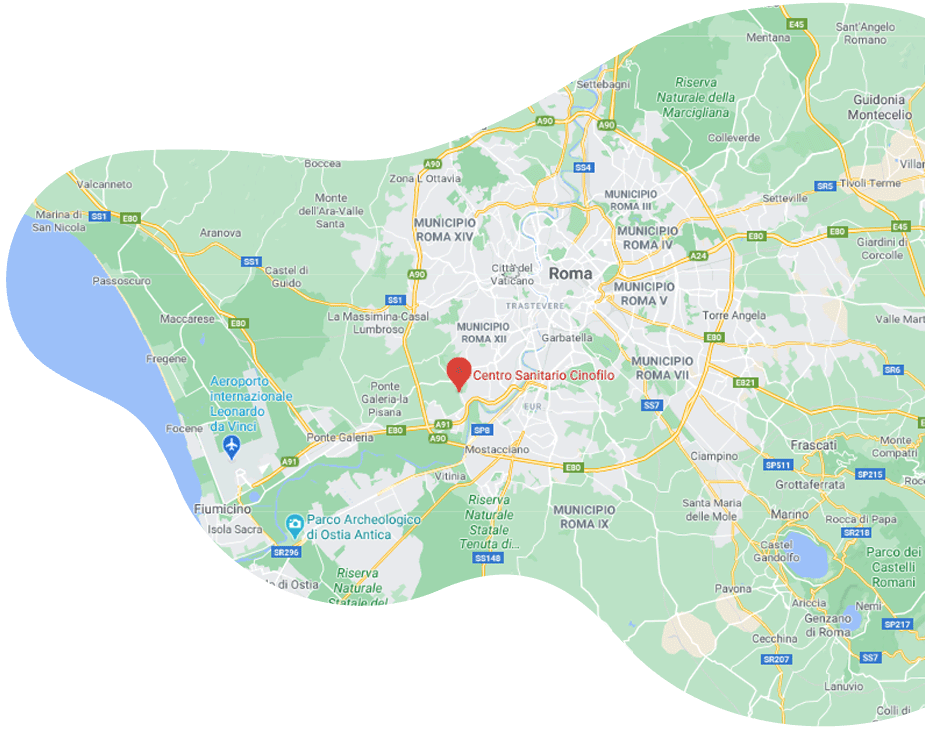mappa-centro-sanitario-cinofilo-di-roma https://cscinofilo.it/wp-content/uploads/2021/02/mappa-centro-sanitario-cinofilo-di-roma.png