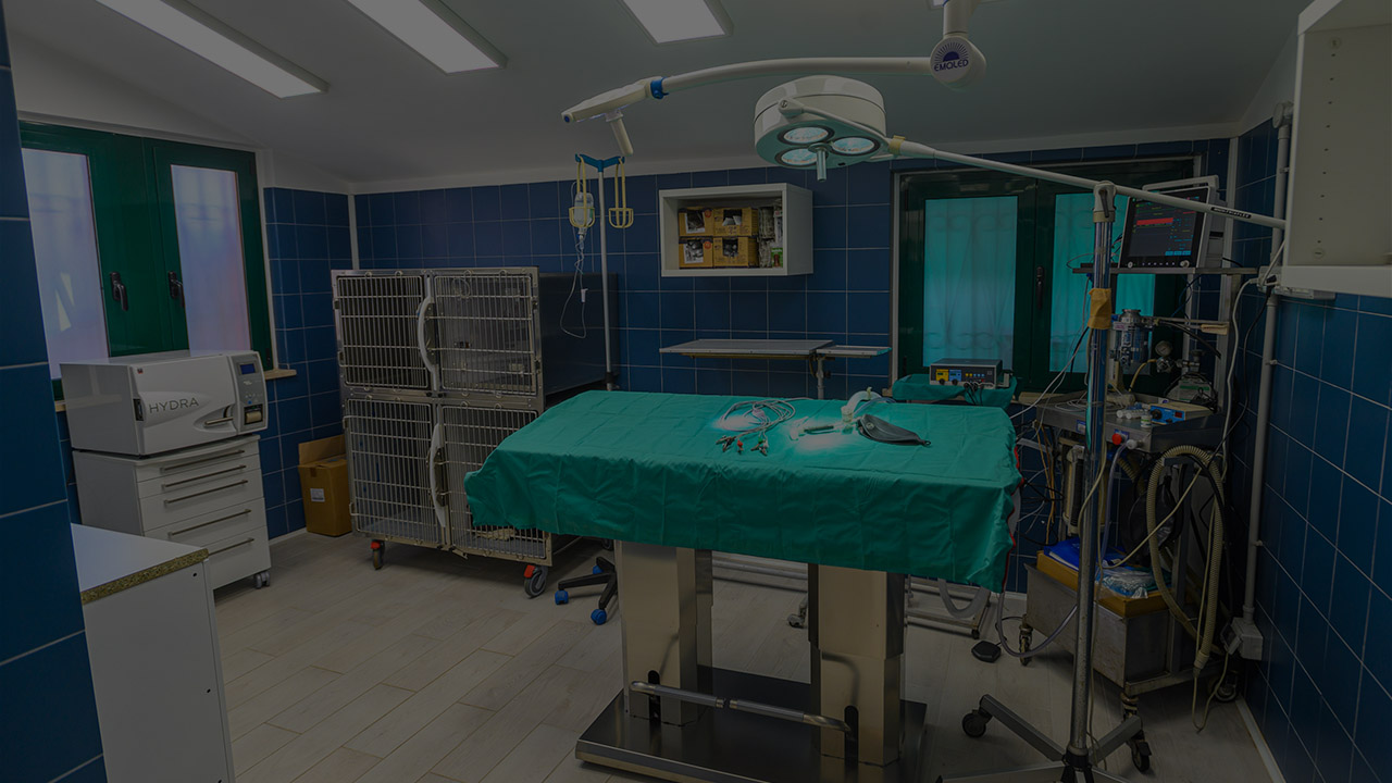 https://cscinofilo.it/wp-content/uploads/2021/03/ambulatorio-veterinario-contatti-roma-centro-sanitario-cinofilo.jpg