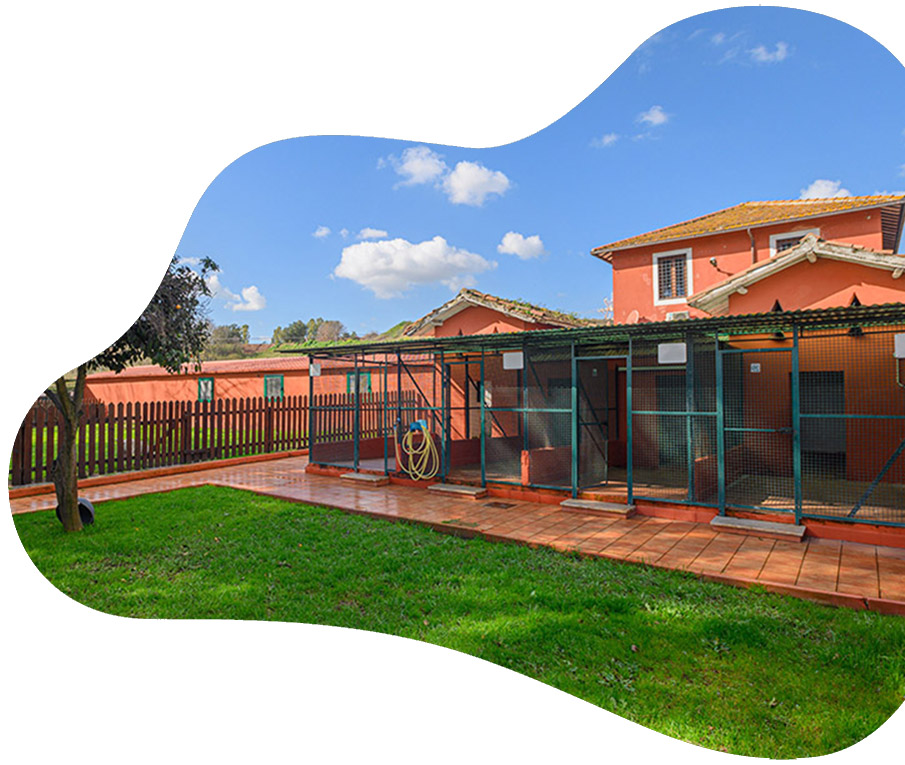https://cscinofilo.it/wp-content/uploads/2021/03/pensione-per-cani-centro-sanitario-cinofilo-di-roma.jpg