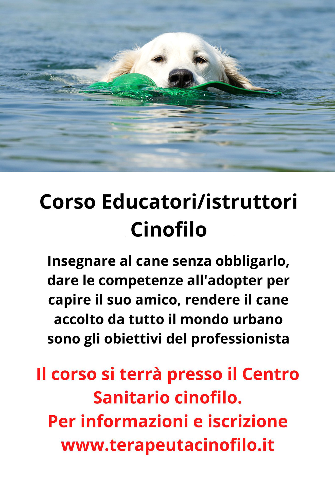 https://cscinofilo.it/wp-content/uploads/2025/10/Corso-Educatoriistruttori-Cinofilo-2023-Insegnare-al-cane-senza-obbligarlo-dare-le-competenze-alladopter-per-capire-il-suo-amico-rendere-i-3-2.jpg