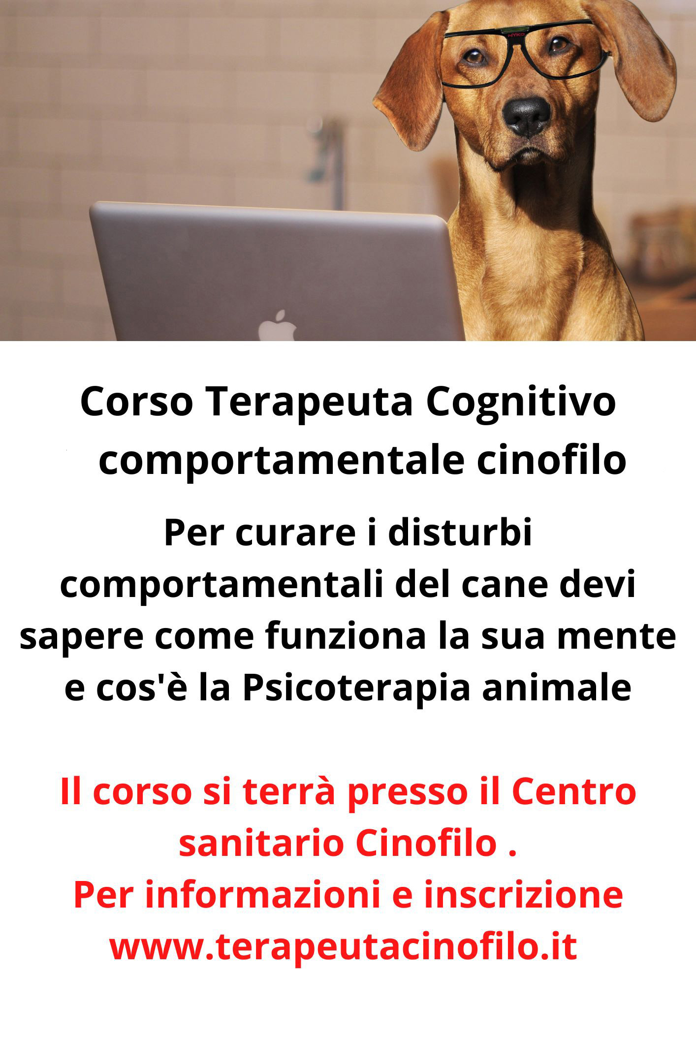 https://cscinofilo.it/wp-content/uploads/2025/10/Corso-Educatoriistruttori-Cinofilo-2023-Insegnare-al-cane-senza-obbligarlo-dare-le-competenze-alladopter-per-capire-il-suo-amico-rendere-il-cane-accolto-1.jpg
